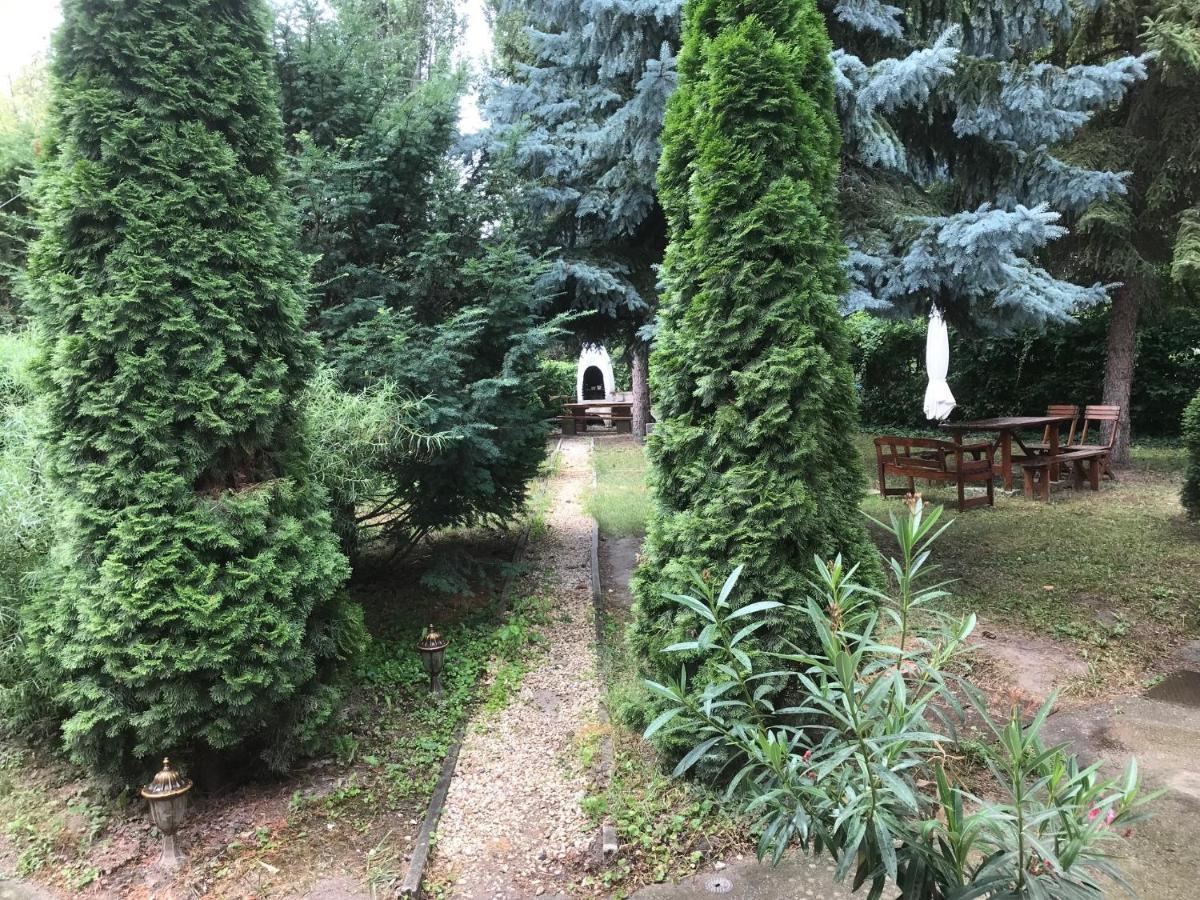 Platanus Vendeghaz Zamardi Bed & Breakfast Luaran gambar